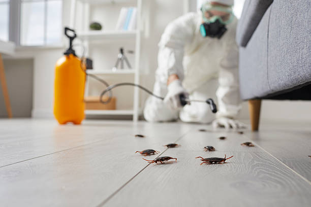 Post-Treatment Bed Bug Interceptor Monitoring in Canby