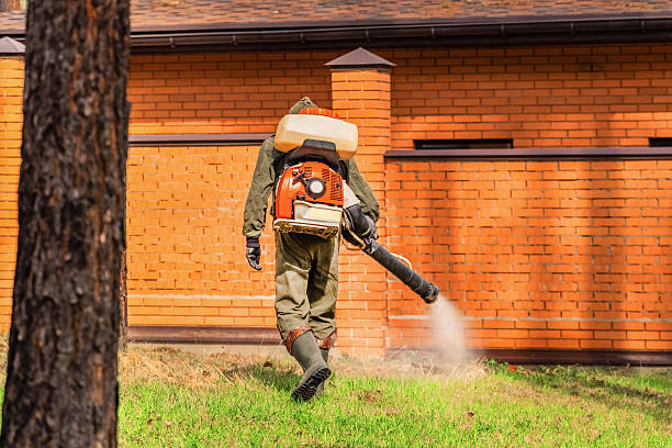 Bed Bug Clearance Verification and Documentation in Canby